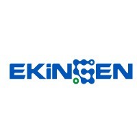 ekingen.jpg